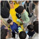 단국대 백호 태권도장 이미지