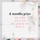 플랜.지 이미지