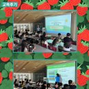 수원시가족여성회관(전시관) | [공지] [교육후기] 풍요로운 땅 수원 - 🍓나만의 '딸기타르트' 만들기 완성!