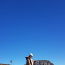 위미 필하우스 이미지