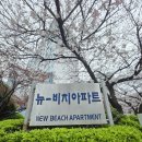 뉴비치 - 해운대구 해운대로 285 | 뉴비치