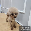 옥천상계공원 이미지