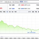 세하유통 이미지