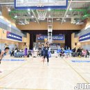 비볼코리아 이미지