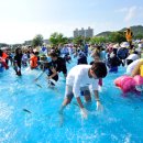 욜로오이소 이미지