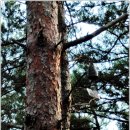 개실마을_2 이미지