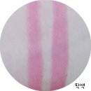 프레쉬앤 이미지