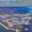 비바람을 맞으며 걸었던 남파랑길(#44-45) 이미지