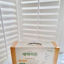 (주)안개가키운새싹