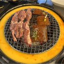 신마포갈매기 이미지