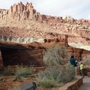 캐피탈주유소 이미지