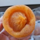 산음골 | 지리산 산청 곶감
