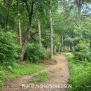산에들에정육점