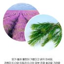 (주)웰트레이드