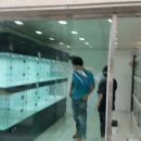 스마트애견 이미지