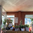 소노펠리체 비발디파크 이미지