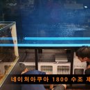 다온네이처
