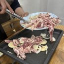 오리와도야지 이미지