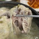 지리산삼계탕 | 추천] 가볍게 먹는 삼계탕이 아니라, 한 그릇으로 기력 채울 수 있는 '지리산삼계탕'에서 녹두삼계탕 후기🐓