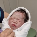 창석이네 이미지