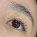 이마트24부평래미안점 | 부평역 속눈썹연장 후기✨ 인생 속눈썹 만들어주는 희로우에서 LED했어요