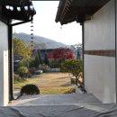 달에게 빌려온 하루 이미지