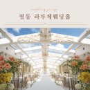 명동 라루체 웨딩홀 투어 후기(그레이스홀, 루아르홀, 아이리스홀 비교)
