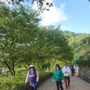 제185차 영광 불갑산&amp;백제불교최초도래지(7) 이미지