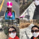 강남애견백화점 이미지