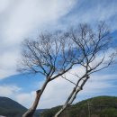 대한민국 6.25참전유공자회 경남지부 밀양시지회 | 남파랑길 25코스(남부면 탑포마을~거제파출소)