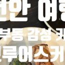 용곡3길 네이버블로그