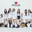 모모랜드 카카오 검색결과