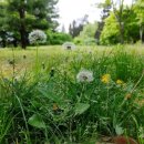 메타버스로 떠나는 서구여행 이미지