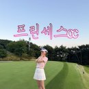 프린세스 골프클럽 | 공주 골프장 프린세스cc 야간라운딩 후기 (포웰cc프린세스)