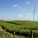 광은태양광발전소 이미지