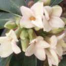 북유성대로(유성-28) 이미지