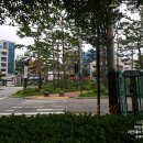 [내 돈 내산] 고려대학교 안암동 미용실 남자 커트 리안헤어 안암오거리점 방문 후기