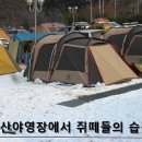 수인야영장 이미지