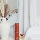 해바라기 헤어라인 이미지