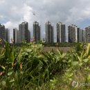 빈포레스트