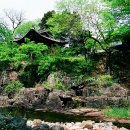 별빛여행 이미지