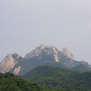 마이트디프