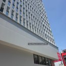 피자몰명동점 | 유니클로 세실리에반센 콜라보 명동점 재고 사이즈팁!