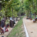 봉무공원야영장 이미지