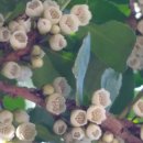 하늘땅바람 이미지