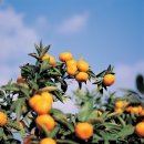 박상익농장 이미지