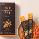 비타민치유랜드
