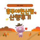신협햇살주유소 | 야현신협 2025년 10월 산행후기 (내장산)