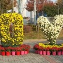 (주)가을애 이미지