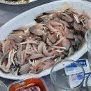 경남 고성시장 제철 전어회 재영막썰이횟집 포장 가격